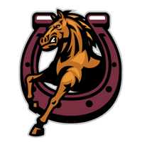 Durham Stallions